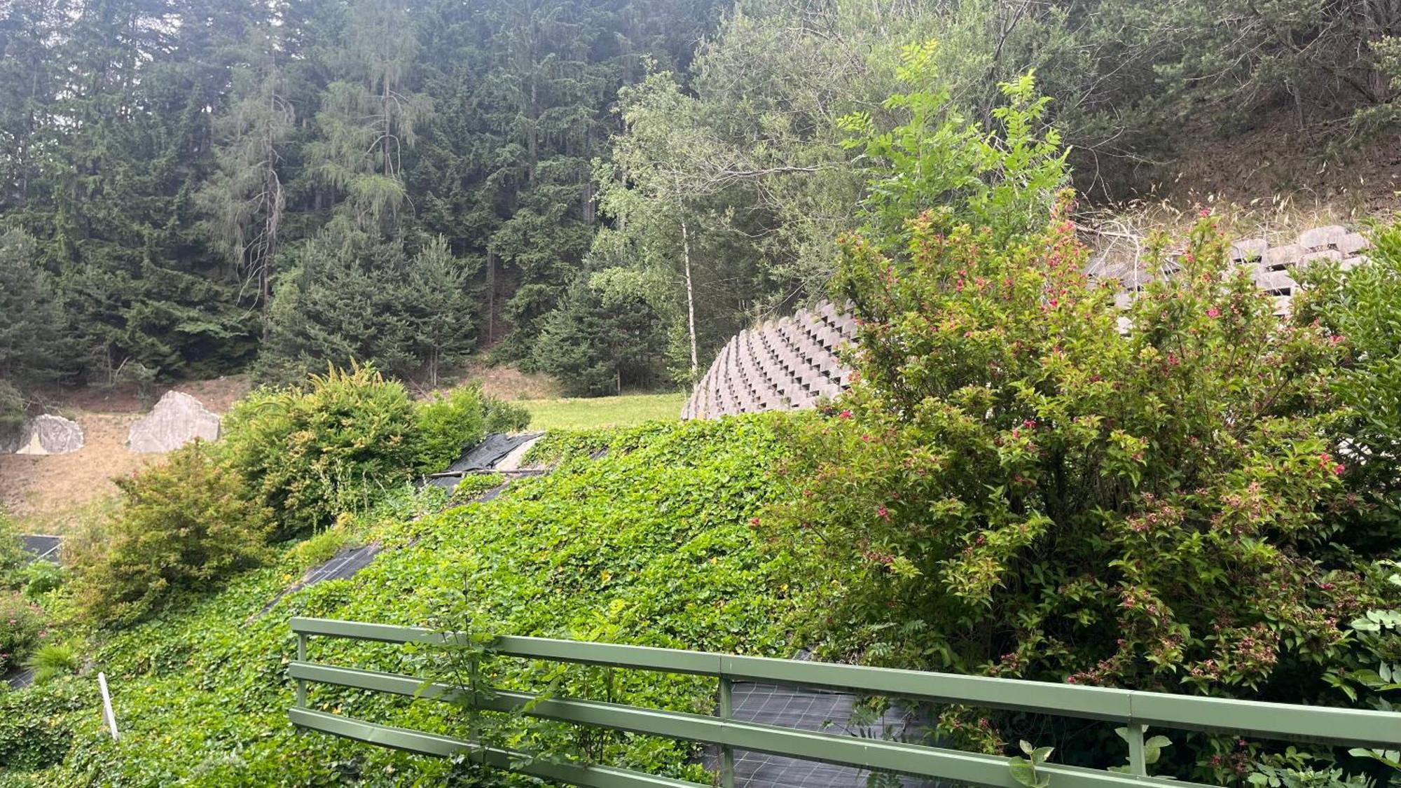 Hotel Saxl Campo di Trens Εξωτερικό φωτογραφία